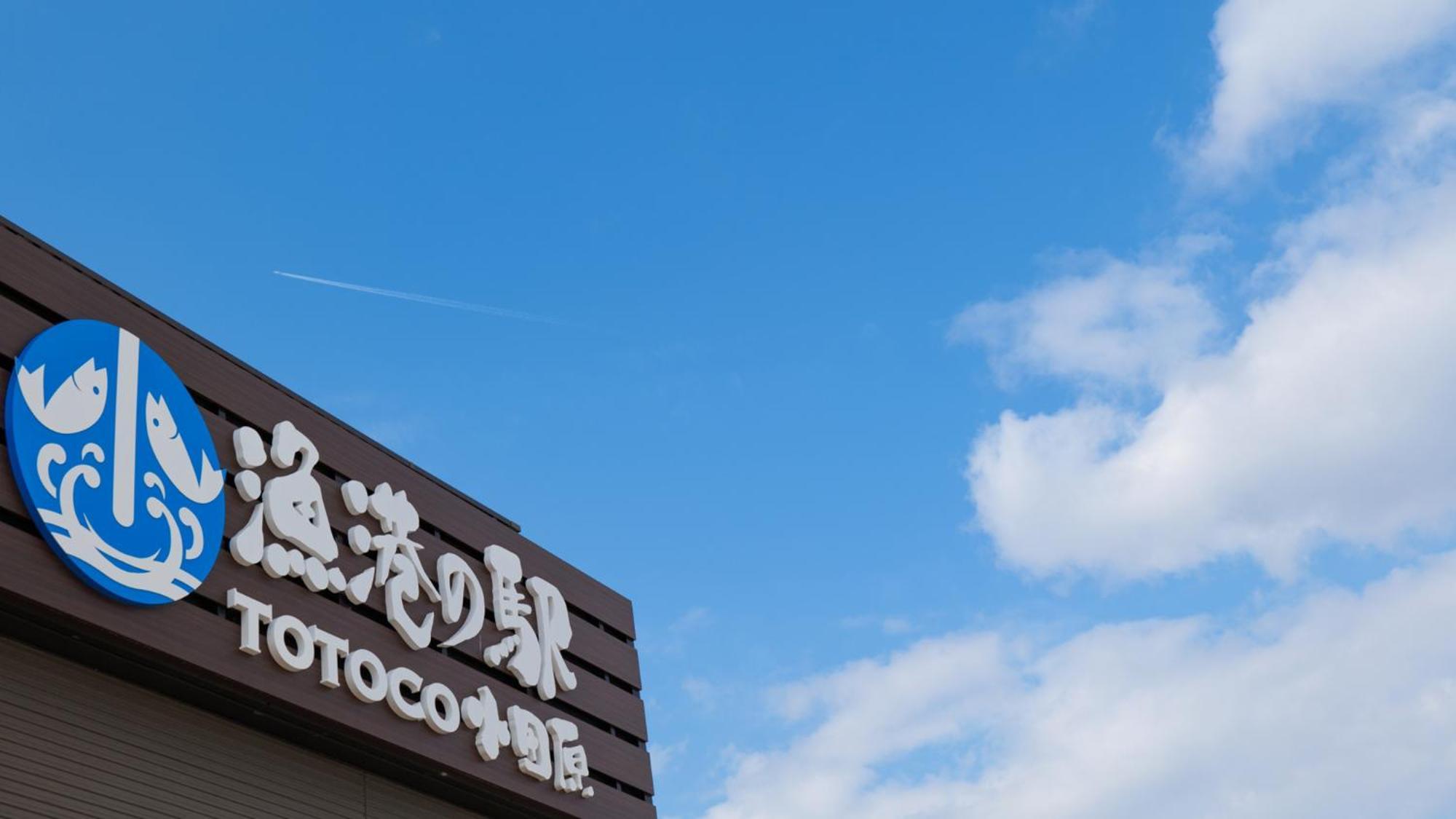 Toyoko Inn Odawara Eki Higashi Guchi Exterior foto